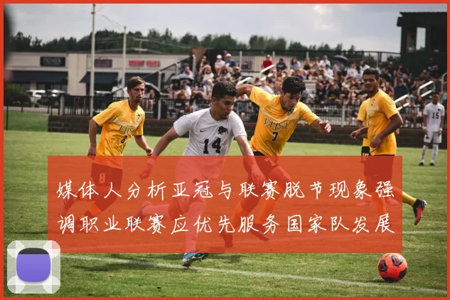 媒体人分析亚冠与联赛脱节现象强调职业联赛应优先服务国家队发展