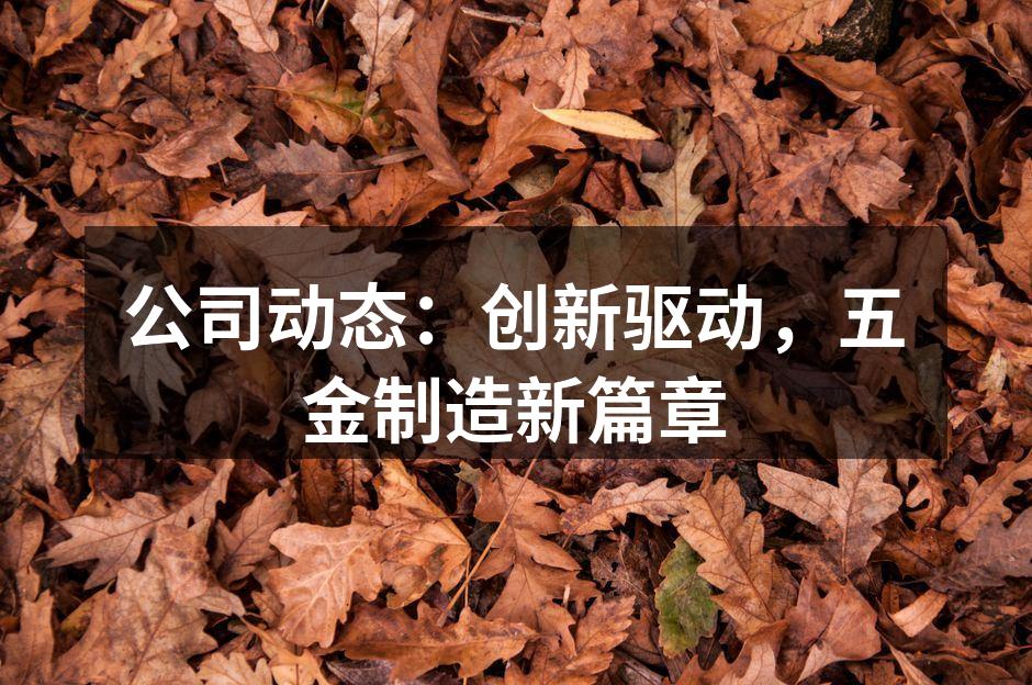 公司动态：创新驱动，五金制造新篇章
