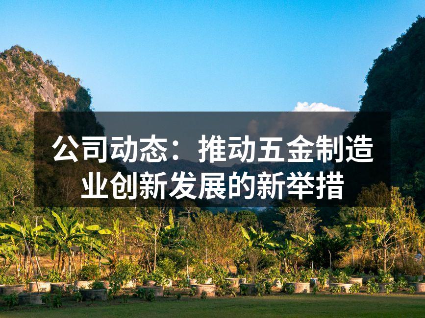公司动态：推动五金制造业创新发展的新举措